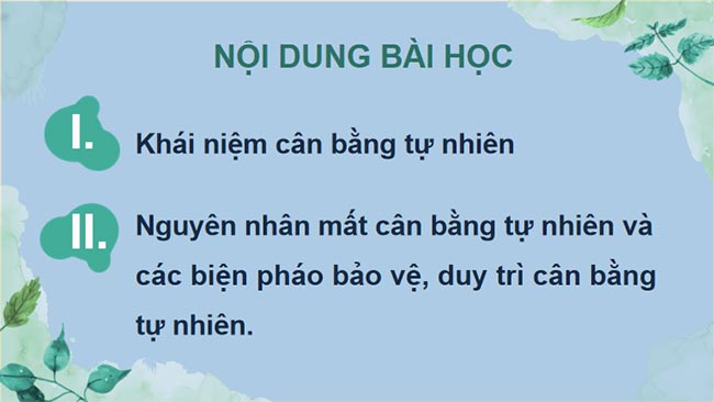 Cân bằng tự nhiên