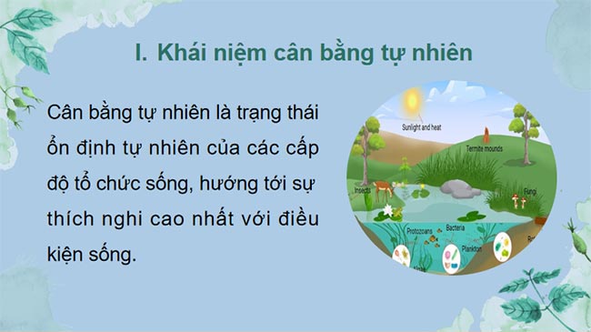 Cân bằng tự nhiên