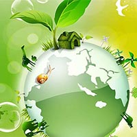 Giáo án Khoa học tự nhiên 8 Bài 43: Quần xã sinh vật