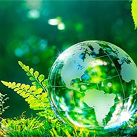 Giáo án Khoa học tự nhiên 8 Bài 44: Hệ sinh thái