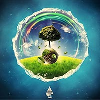 Giáo án Khoa học tự nhiên 8 Bài 46: Cân bằng tự nhiên