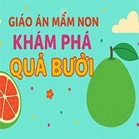Giáo án: Khám phá quả bưởi