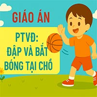 Giáo án: VĐCB Đập và bắt bóng tại chỗ 