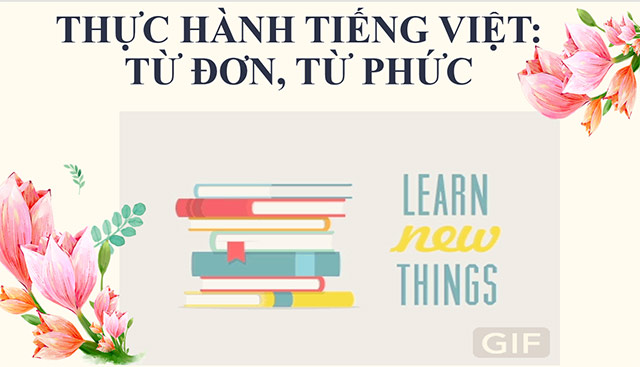 PowerPoint Ngữ văn 6 Bài 1: Thực hành tiếng Việt
