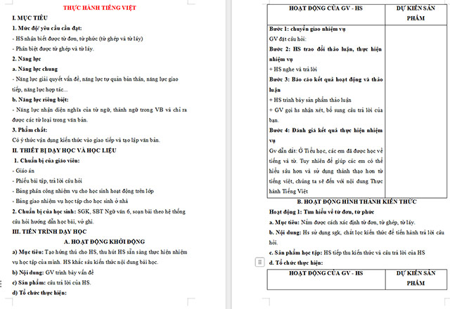 Giáo án Văn 6 Bài 1: Thực hành tiếng Việt