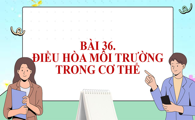 Điều hòa môi trường trong của cơ thể người