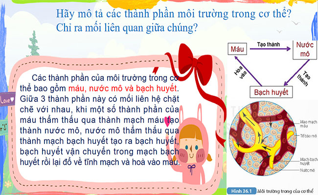 Điều hòa môi trường trong của cơ thể người