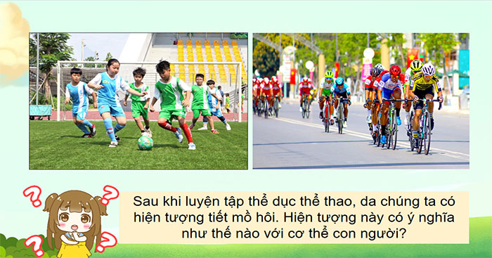 Da và điều hòa thân nhiệt ở người