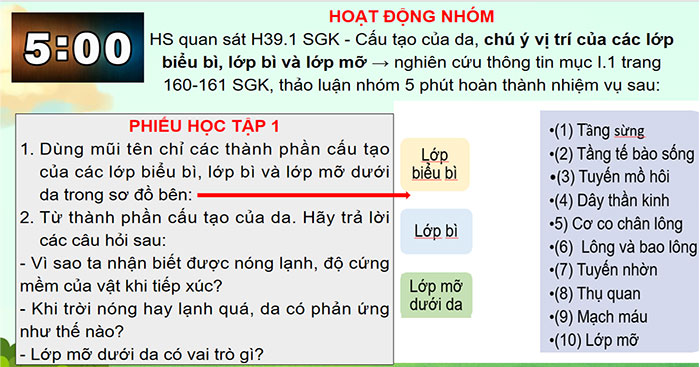 Da và điều hòa thân nhiệt ở người