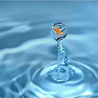 Giáo án Khoa học 4 Bài 2: Sự chuyển thể của nước