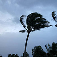 Giáo án Khoa học 4 Bài 5: Gió, bão