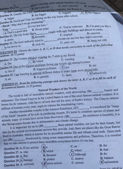 Đề thi tuyển sinh vào lớp 10 môn tiếng Anh Lai Châu Chính thức 2025 minh họa 2