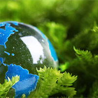 Giáo án Khoa học 5 Bài 29: Tác động của con người đến môi trường