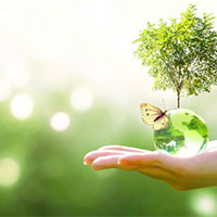 Giáo án Khoa học 5 Bài 30: Ôn tập chủ đề Sinh vật và môi trường