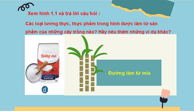Giới thiệu chung về trồng trọt 