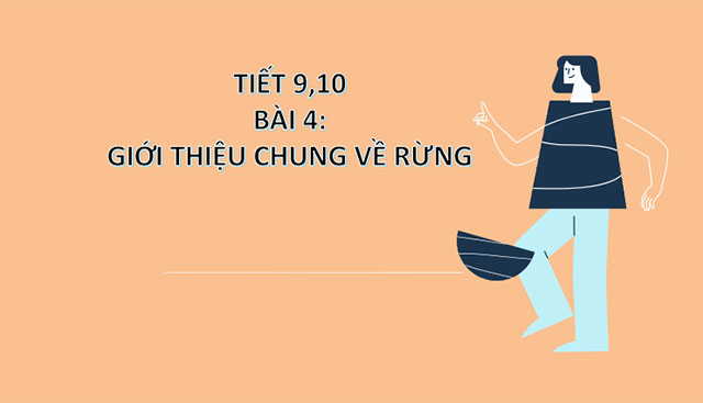 Giới thiệu chung về rừng