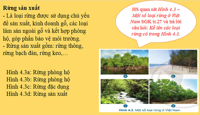 Giới thiệu chung về rừng