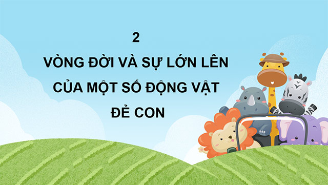 PowerPoint Khoa học 5 Sự lớn lên và phát triển của động vật