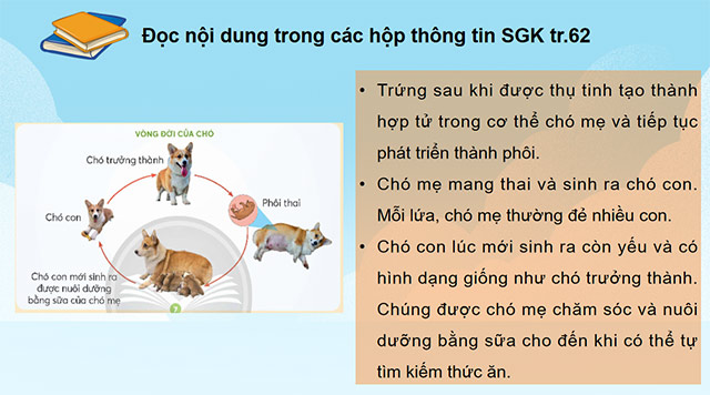 PowerPoint Khoa học 5 Sự lớn lên và phát triển của động vật