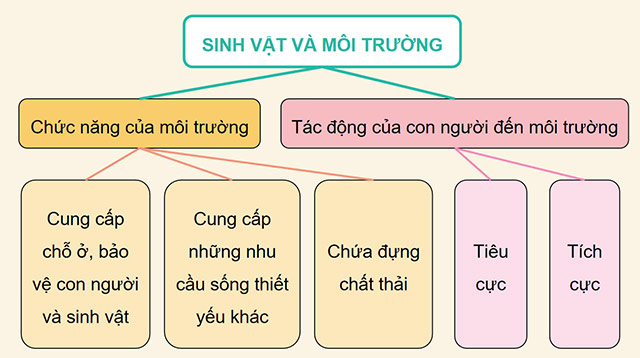 PowerPoint Khoa học 5 Ôn tập chủ đề Sinh vật và môi trường