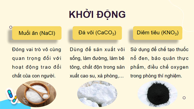 Giáo án Khoa học tự nhiên 8 Bài 11 Muối