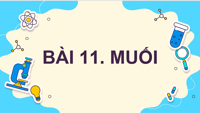 Giáo án Khoa học tự nhiên 8 Bài 11 Muối
