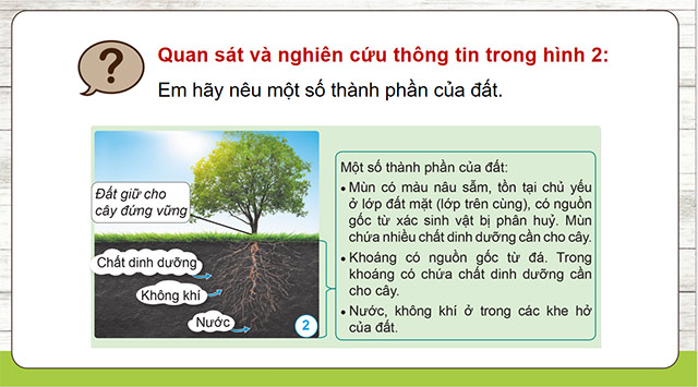 PowerPoint Khoa học 5 Đất và bảo vệ môi trường đất