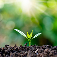 Giáo án Khoa học 5 Bài 2: Ô nhiễm, xói mòn đất và bảo vệ môi trường đất