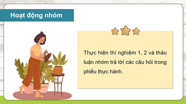 PowerPoint Khoa học 5 Thành phần và vai trò của đất 