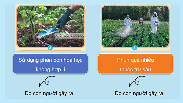 PowerPoint Khoa học 5 Ô nhiễm, xói mòn đất và bảo vệ môi trường đất