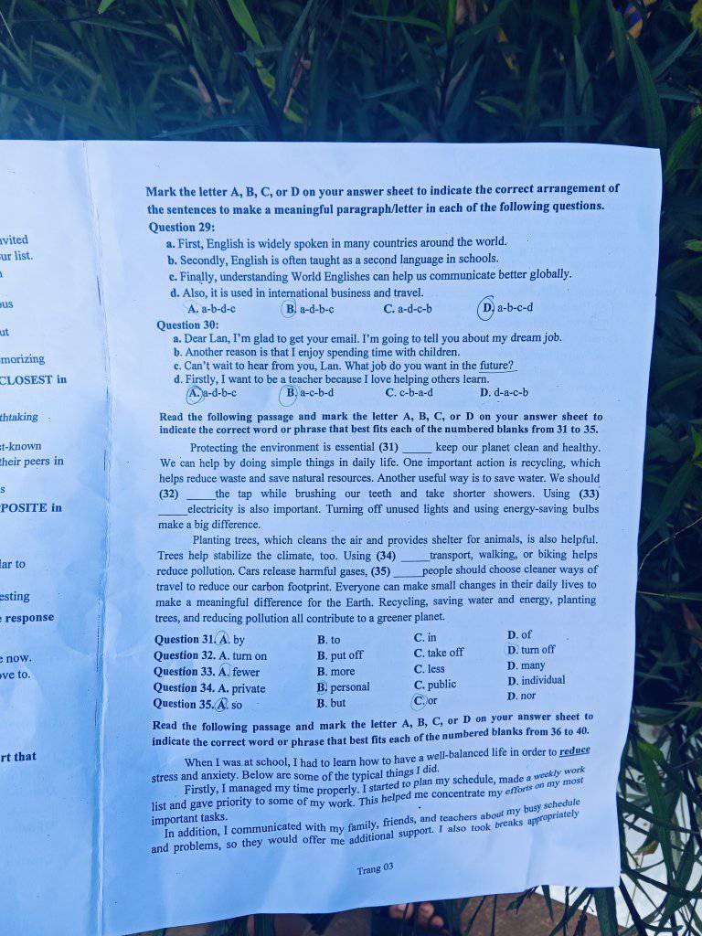 Đáp án đề thi tuyển sinh lớp 10 môn Anh Bình Phước năm 2025 minh họa 3