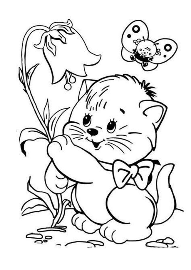 to mau con meo 9*716963