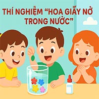 Giáo án: Thí nghiệm “Hoa giấy nở trong nước”