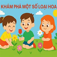 Giáo án: Khám phám một số loại hoa