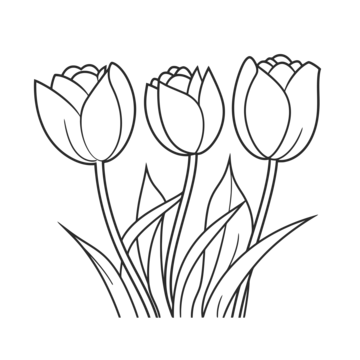 Tranh tô màu hoa tulip