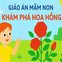 Giáo án: Khám phá hoa hồng