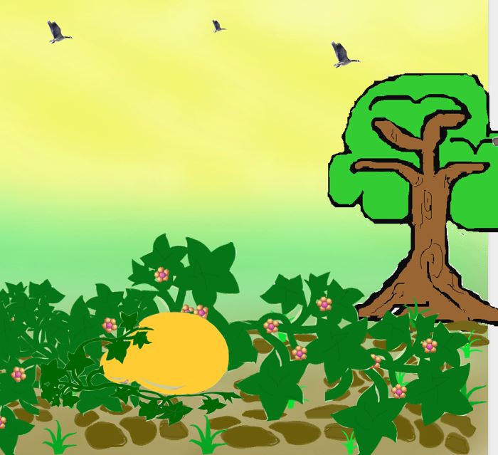 qua bau tien 4*719577