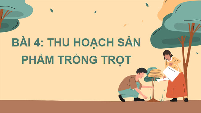 Thu hoạch sản phẩm trồng trọt