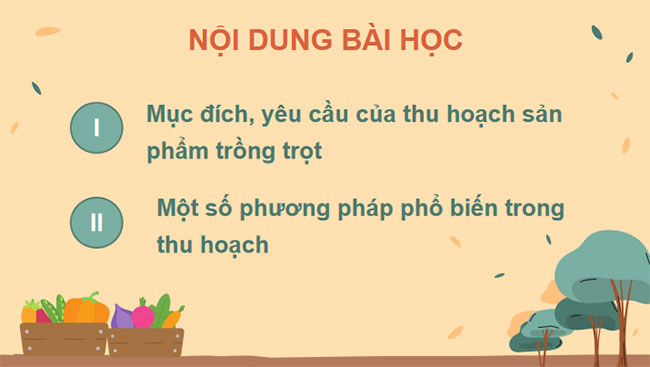 Thu hoạch sản phẩm trồng trọt