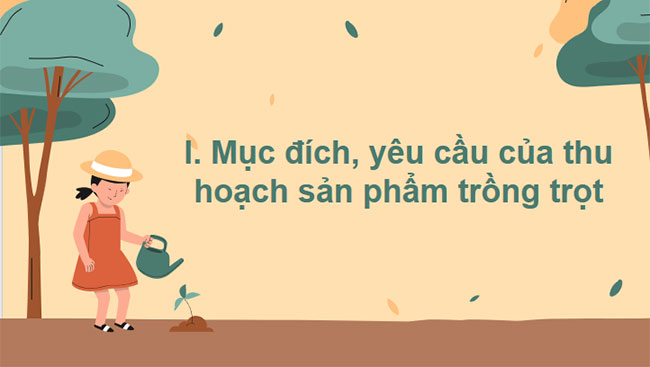 Thu hoạch sản phẩm trồng trọt