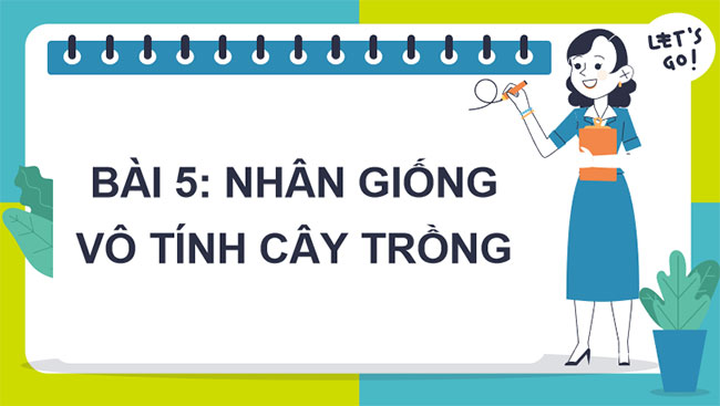 Nhân giống vô tính cây trồng