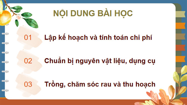 Dự án trồng rau an toàn