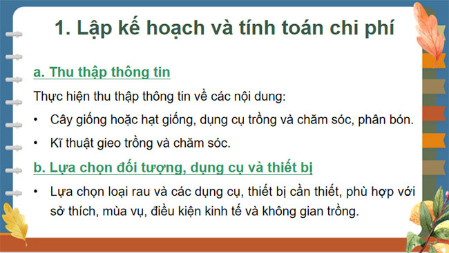 Dự án trồng rau an toàn