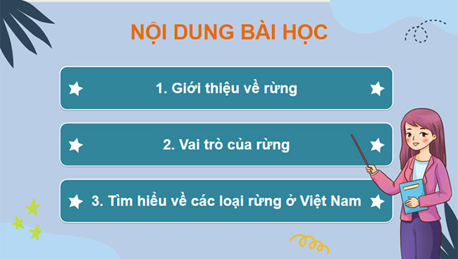 Giới thiệu về rừng