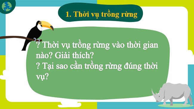 Trồng chăm sóc và bảo vệ rừng