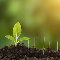 Giáo án Công nghệ 7 Bài 1: Giới thiệu về trồng trọt