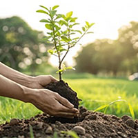 Giáo án Công nghệ 7 Bài 3: Gieo trồng chăm sóc và phòng trừ sâu bệnh cho cây trồng