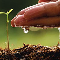 Giáo án Công nghệ 7 Bài 6: Dự án trồng rau an toàn