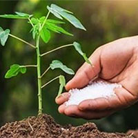 Giáo án Công nghệ 7 Bài 7: Giới thiệu về rừng