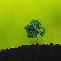 Giáo án Công nghệ 7 Ôn tập chương 1